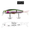 FISHN Hybrid Swimbait MinnowOne Trout 12,5cm, 17,5g